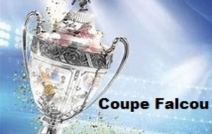 1/2 Finales de Coupe de France  (G. FALCOU)